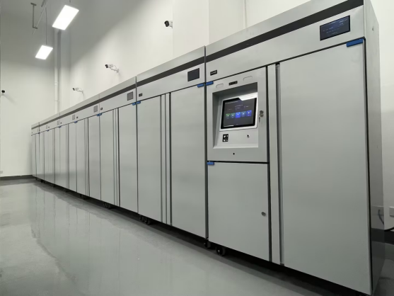 1736305920848889.jpg 1736305837986.jpg